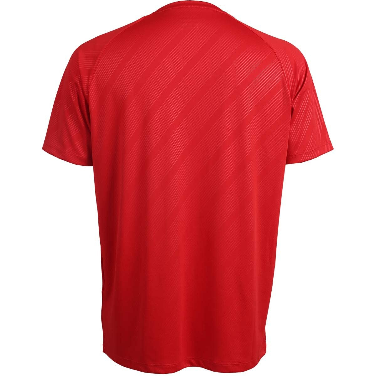 junior badminton t-shirt, red and blue sports shirt, Hector junior tee, stretchable badminton top, Dryforze courtwear for kids, moisture-wicking junior shirt, breathable kids t-shirt, FZ Forza junior apparel, polyester court shirt, lightweight kids wear, junior sports top, athletic training shirt, boys badminton tee, kids performance shirt, red FZ Forza tee
