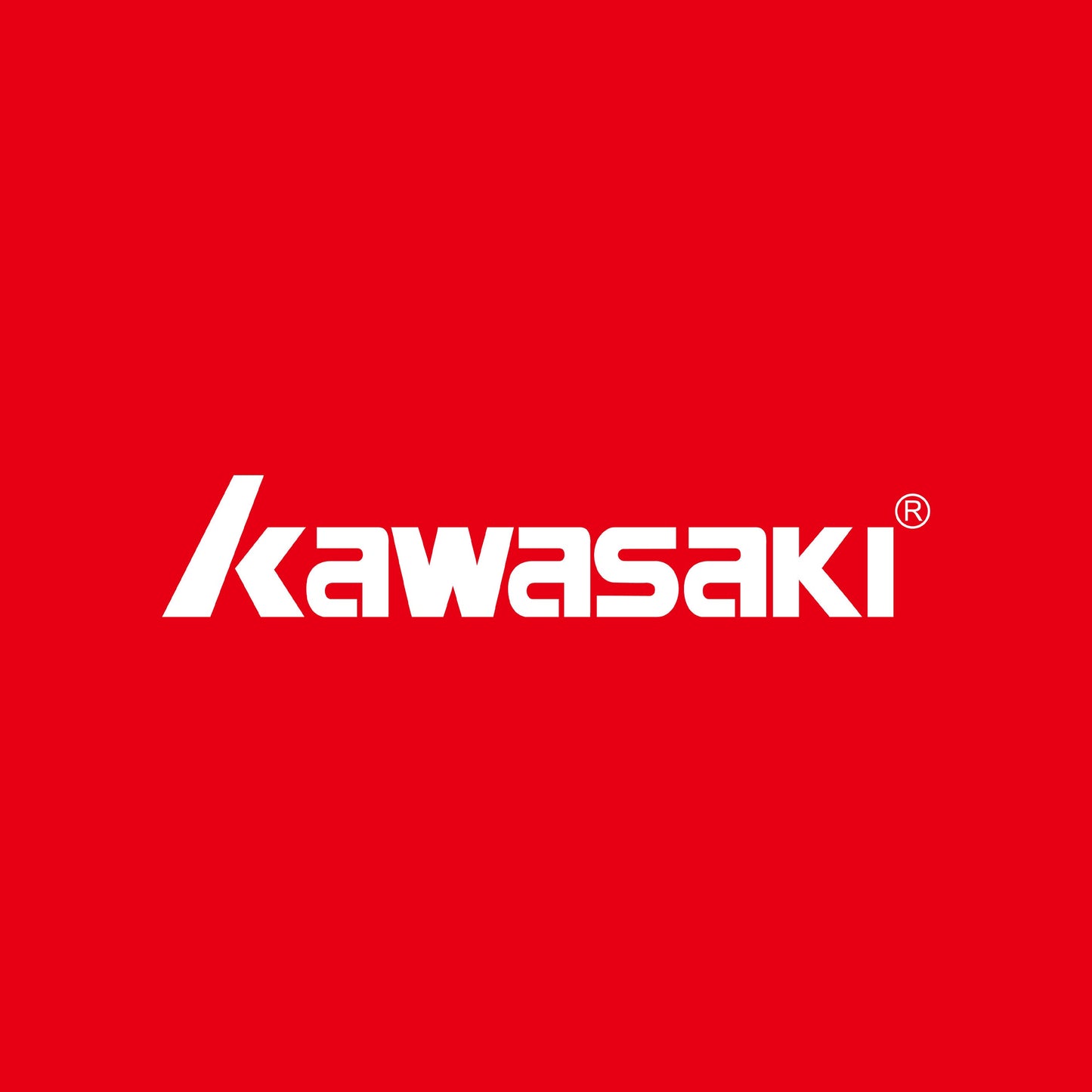 Kawasaki King N350S Nylon Slow Speed Badminton Shuttlecock - 6 Pieces
